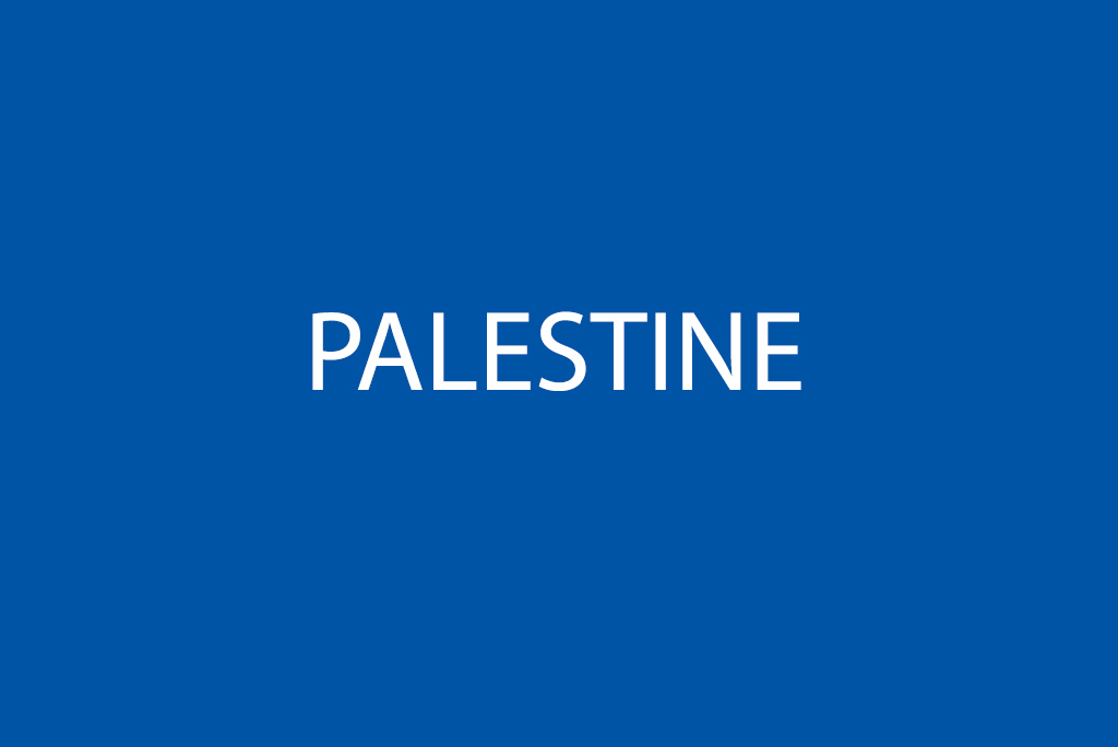 Médecins du Monde (MDM) Chapters in Palestine Statement on the excessive use of force against civilians in Gaza